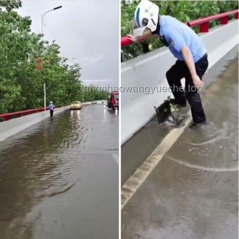 “什么桥都敢堵啊你们？？”——城市桥梁拥堵现象与解决方案对比分析